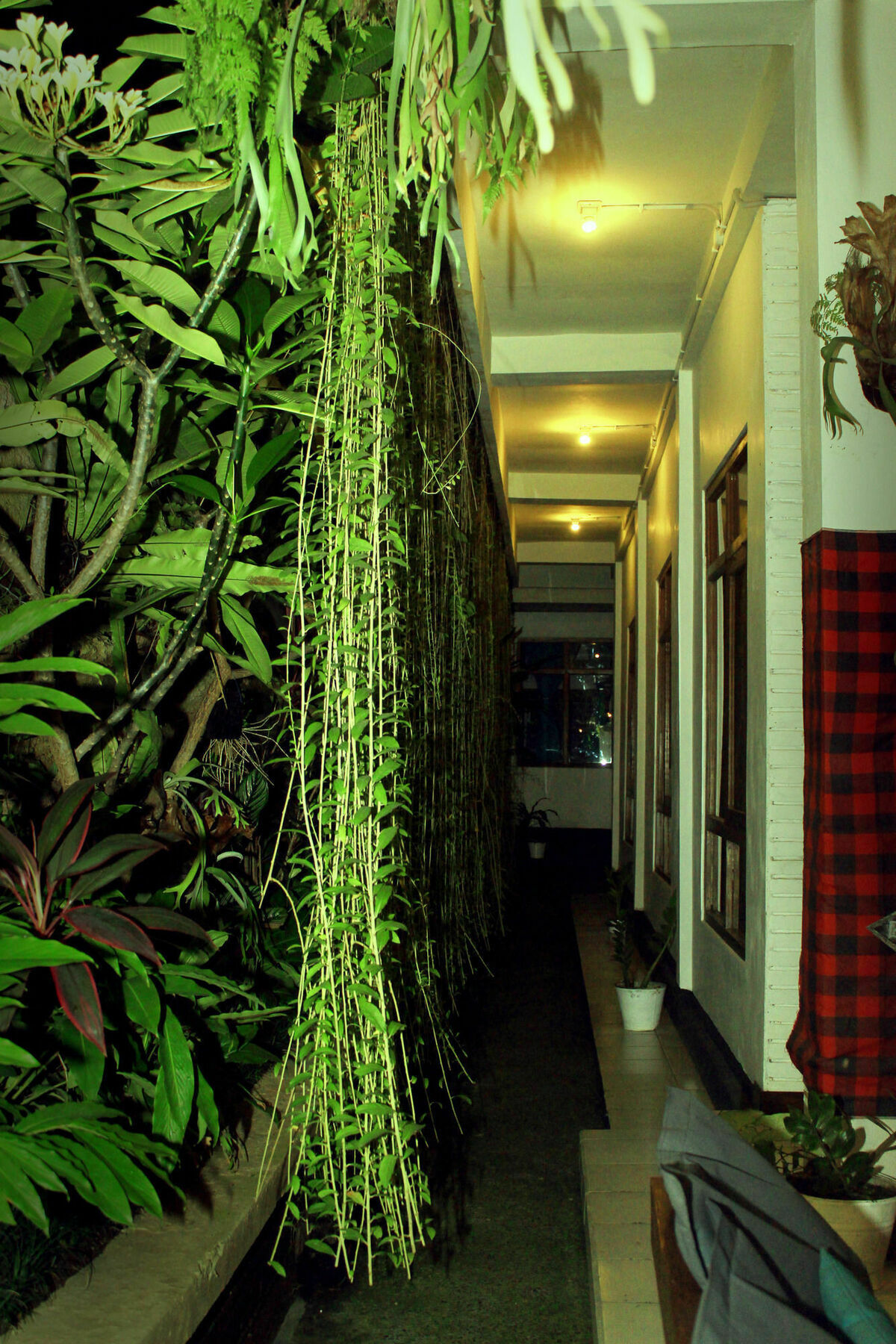 Ostello Friendly House Bali Ubud Esterno foto